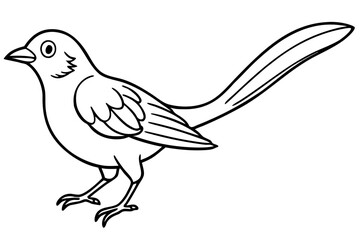 Zephyrelle bird line art white background 