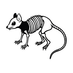mouse skeleton