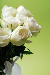 White roses bouquet on soft green background with copy space for design and text