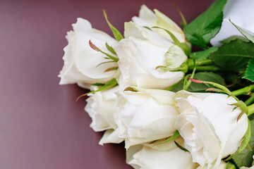 White roses bouquet lying as romantic still life on burgundy background with ribbon