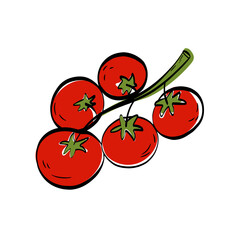 Tomato branch illustration with clean outlines and Mediterranean feel. Ideal for food packaging, recipe graphics, vegan food branding, modern kitchen visuals, and Mediterranean food themes