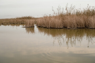 Hydrology of the Wetlands: Wave Propagation and Surface Tension Ripples in a Winding Mesopotamian Marsh Cha