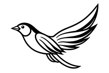 Solfeather bird line art white background
