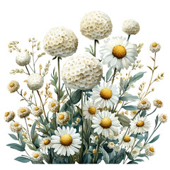 Achillea Branch, watercolor clipart showcasing whimsical details and harmonious color flow, isolated on a white background. © trovexa