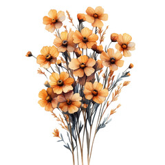 watercolor of Achillea Branch illustration graphic, isolated on a white background. © trovexa