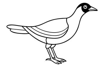 Miralune bird line art white background