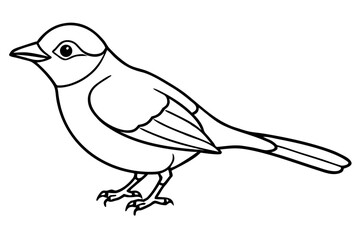 Obraz premium Sylphora bird line art white background