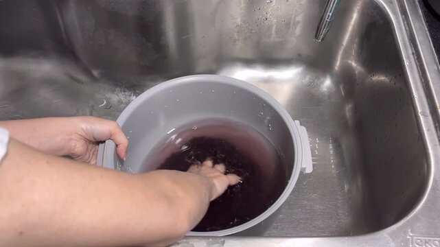 Rinsing the riceberry rice in preparation for cooking.