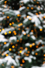 Abstract bokeh background of warm golden Christmas lights and snowy green branches. Ideal festive...