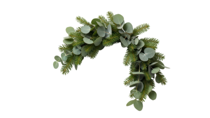 Evergreen eucalyptus and fir garland or swag for winter and holiday decoration, isolated on a transparent background PNG (माला)