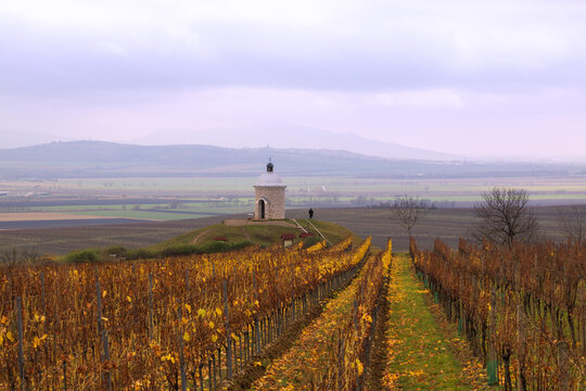 St. Anthony's Chapel on Hradi&scaron;tě P&aacute;lava hill above autumnal vineyards with orange leaves and rolling landscape.