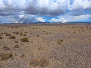 Salt flats and Deserts in northwestern Argentina