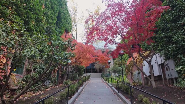 A beautiful scenic view capturing Chautauqua Park in Ashland, Oregon, filled with the vibrant, colorful foliage of the autumn season
