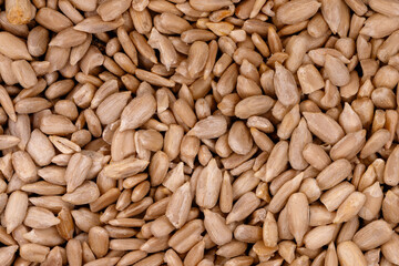 Roasted sunflower seeds creating healthy food ingredient background