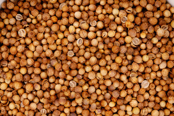 Dried coriander seeds creating food ingredient background texture