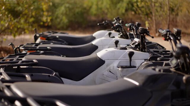 Row parked ATVs lined dusty clearing, black and white seats and handlebars, idle engines glinting in warm sunlight, trees and scrub background, rugged tires