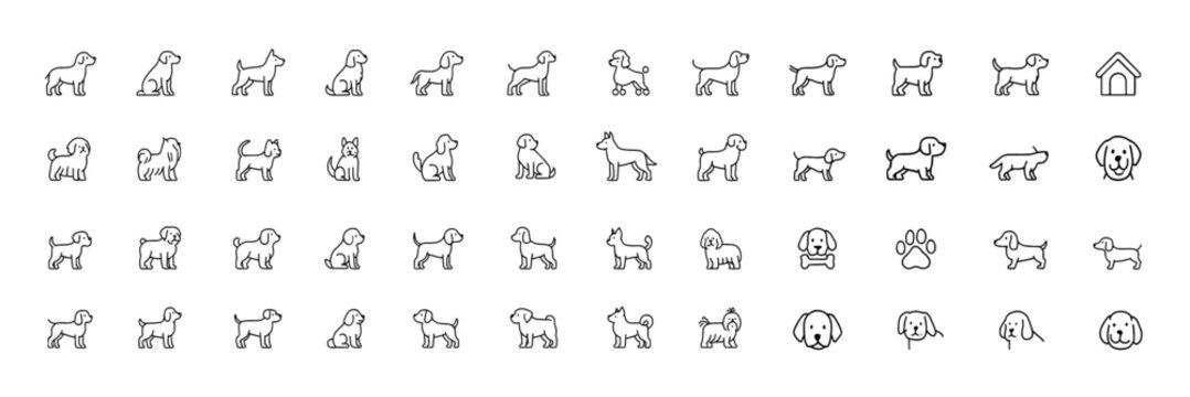 Dog breed vector line icon collection featuring labrador, golden retriever, german shepherd, beagle, bulldog, poodle, dachshund, pug, shih tzu, maltese and yorkshire terrier thin linear illustration