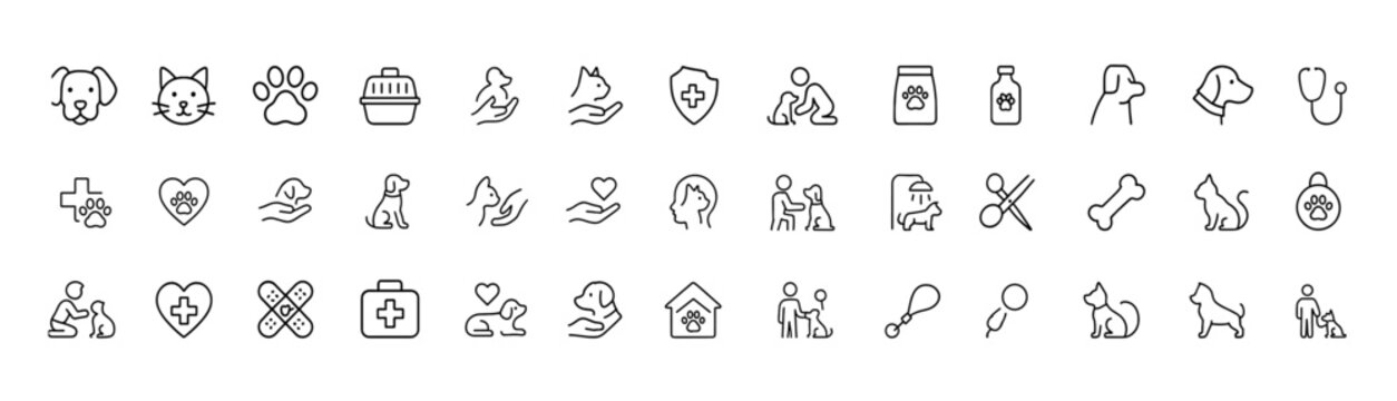 Animal service pet icon set, clean glyph silhouette symbols of dog, cat, paw, carrier, vet care, adoption, training, rescue and support companions, vector illustration set, pet care icons