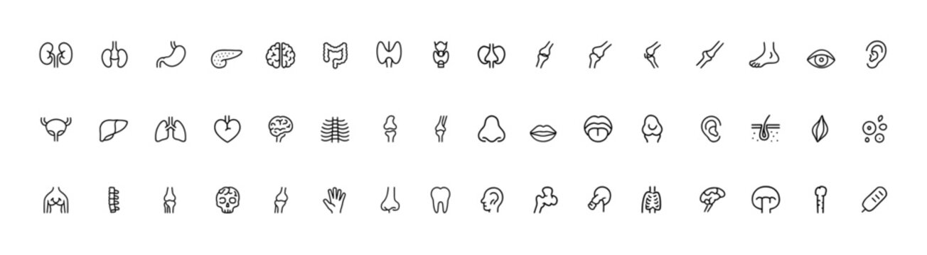 Medical organs line icon set, detailed anatomy vector pictograms of kidney, bladder, pancreas, intestine, thyroid, pelvis, skeleton, joints, hand, nose, mouth, tongue, healthcare anatomy illustration