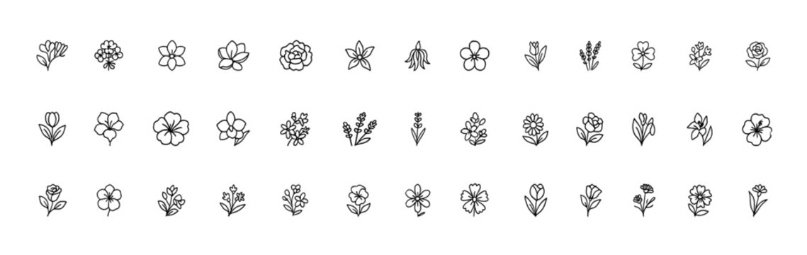 Cosmetic Flower Line Icon Set, Thin Linear Vector Pictograms of Botanical Blooms Including Jasmine, Calendula, Peony, Neroli, Magnolia, Freesia, Herbal Floral Illustration, Beauty Icons