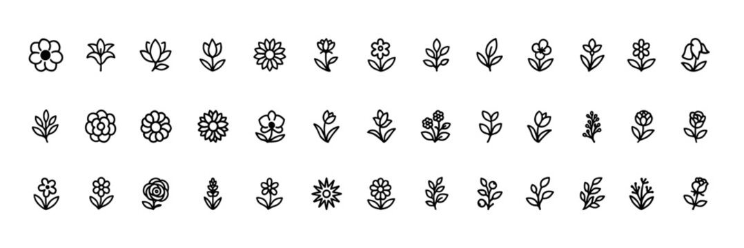 Botanical flower icon set, black silhouette vector glyphs of anemone lily magnolia dahlia violet, floral garden nature pictograms, greenery decoration illustration, spring summer plant icons