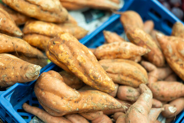Raw sweet potatoes are in a box on the counter at the market. Farm batatas in the supermarket