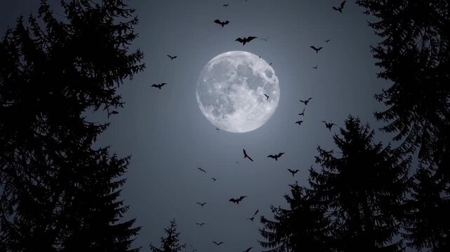 A full moon illuminates the night sky, framed by the silhouetted branches of evergreen trees. bats fly across the scene, creating a mysterious and gothic ambiance, suitable for halloween or dark-theme