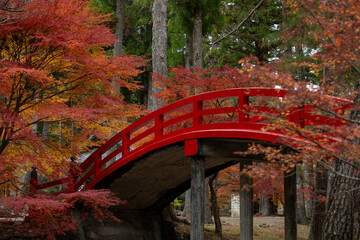 Autumn Colors at Daitoin Temple Bridge / 大洞院の紅葉と赤橋