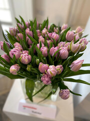 pink tulips in a vase