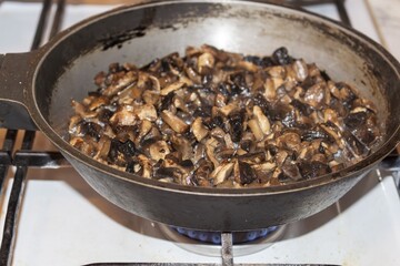 Fried mushrooms cooking in a frying pan on the gas stove top burner