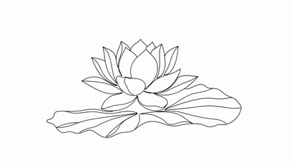 Minimalist Line Drawing of a Lotus Flower with a Single Water Lily Pad for Artistic and Decorative © Telo