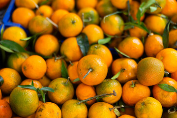 Tangerines in shop window. Stocks of fruits in stores storage. Fresh fruit vegetable harvest from producer is already on store shelves.