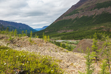 Putorana Plateau landscape. Russia, Krasnoyarsk region