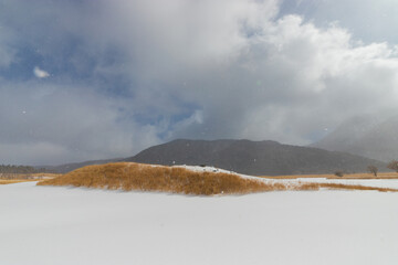九重町の雪景色（大分県九重町）