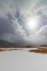九重町の雪景色（大分県九重町）