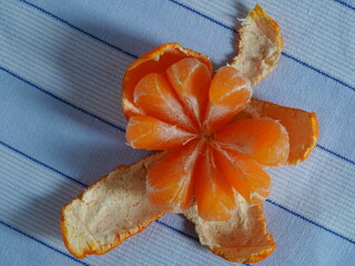 Closeup of whole peeled clementine with loosen segments on blue cloth