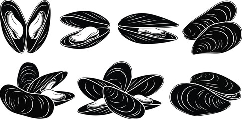 Detailed monochrome illustration of various mussel shells in different orientations © MALA