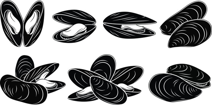 Detailed monochrome illustration of various mussel shells in different orientations