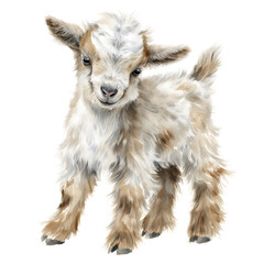 Watercolor baby goat soft fluffy texture natural tones high detail white background