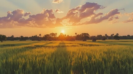 Majestic golden hour sunset bathes a vast agricultural landscape, illuminating a vibrant field of crops and silhouetted trees beneath a sky of colorful clouds and warm radiant light beams.