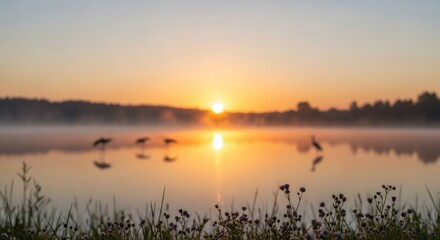 Radiant sunrise bathes a calm lake in warm golden light, with reflections dancing across the water's surface and silhouetted birds gracefully perched on the misty horizon, set amidst blooming...