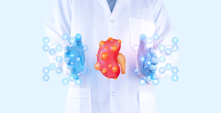 A urologist examines a kidney with cysts. Concept to raise awareness about kidney care, early diagnosis, and prevention of Polycystic Kidney Disease (PKD).
