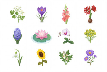 3D Isometric flowers illustration icon pack isolated on white background, coriander, crocus, gladiolus, amaryllis, hyacinth, lotus, orchid, and sunflower set