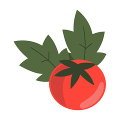 Illustration of a Tomato with Leaves