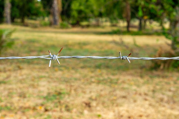 Fototapeta premium A single strand of barbed wire fencing with twisted knot and a defocused field background, with space for copy above and below. 