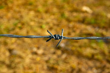 A single strand of barbed wire fencing with twisted knot and a defocused field background, with space for copy above and below. 