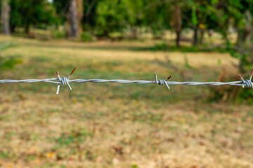 A single strand of barbed wire fencing with twisted knot and a defocused field background, with space for copy above and below. 