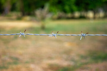 A single strand of barbed wire fencing with twisted knot and a defocused field background, with space for copy above and below. 