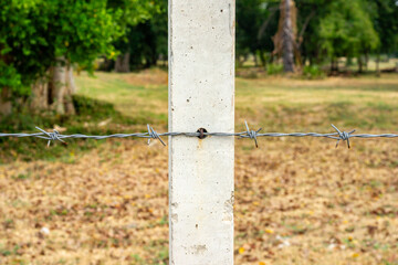 A single strand of barbed wire fencing with twisted knot and a defocused field background, with space for copy above and below. 