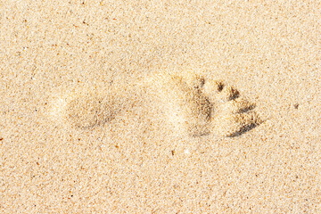 footprint one right feet on brown sand beach seaside